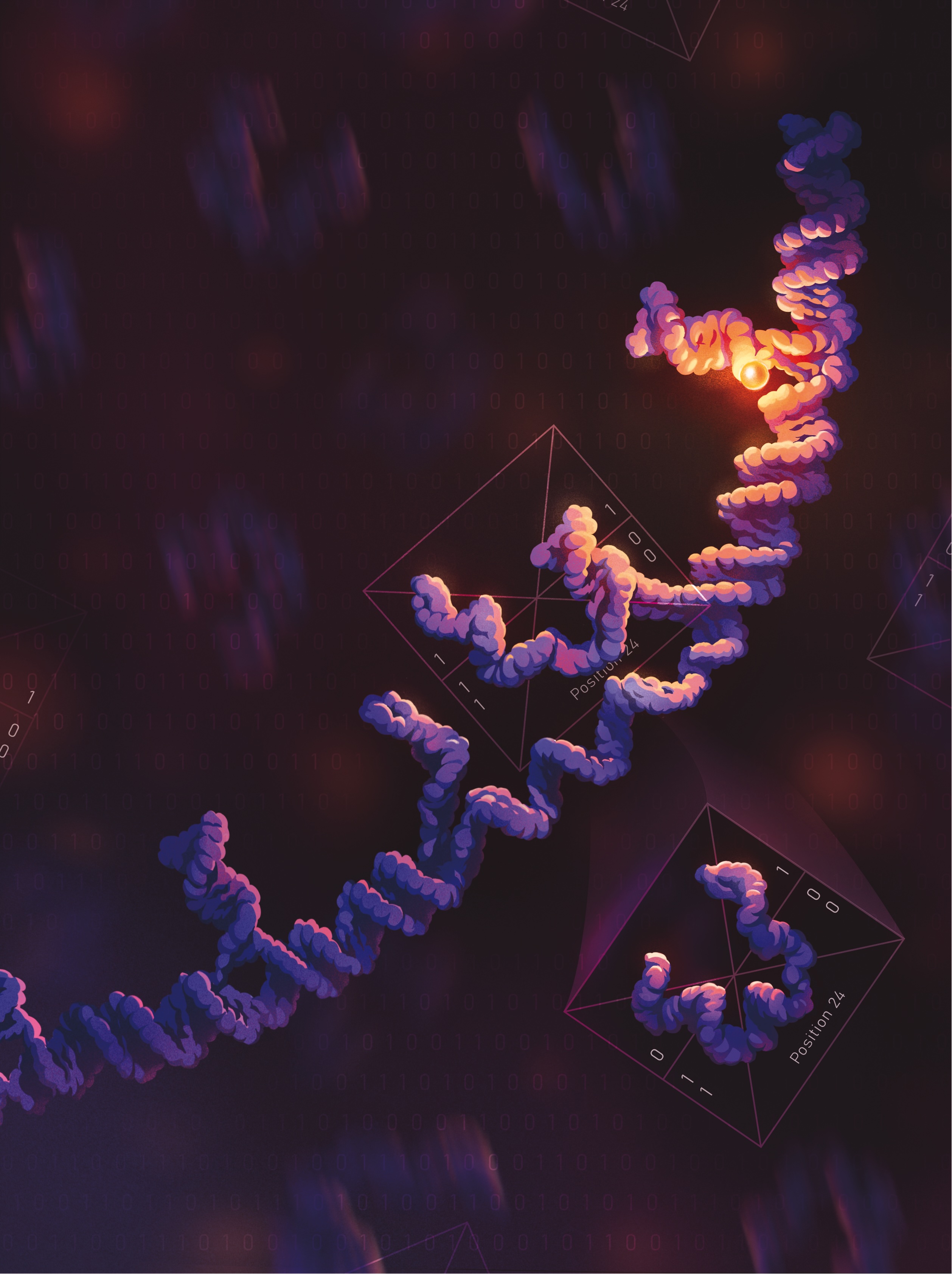 Downhill Computing: a DNA computer that computes by relaxing to equilibrium